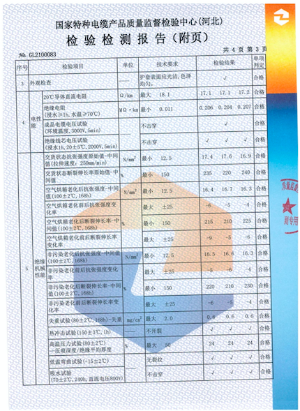 檢測報告