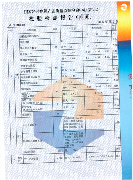 檢測報告