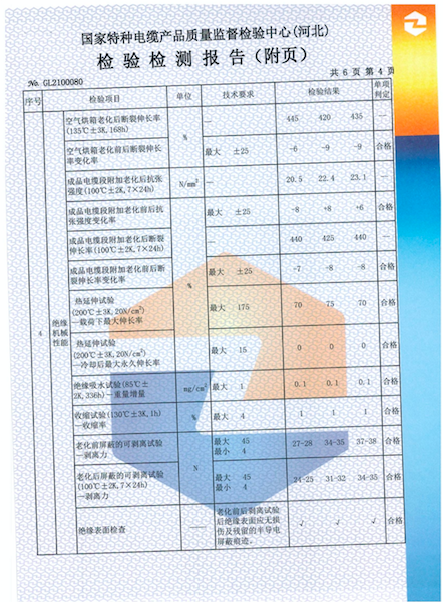 檢測報告