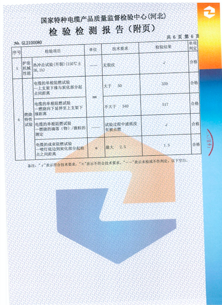 檢測報告